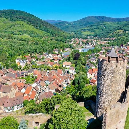 Les Chambres De La Weiss Kaysersberg-Vignoble Luaran gambar